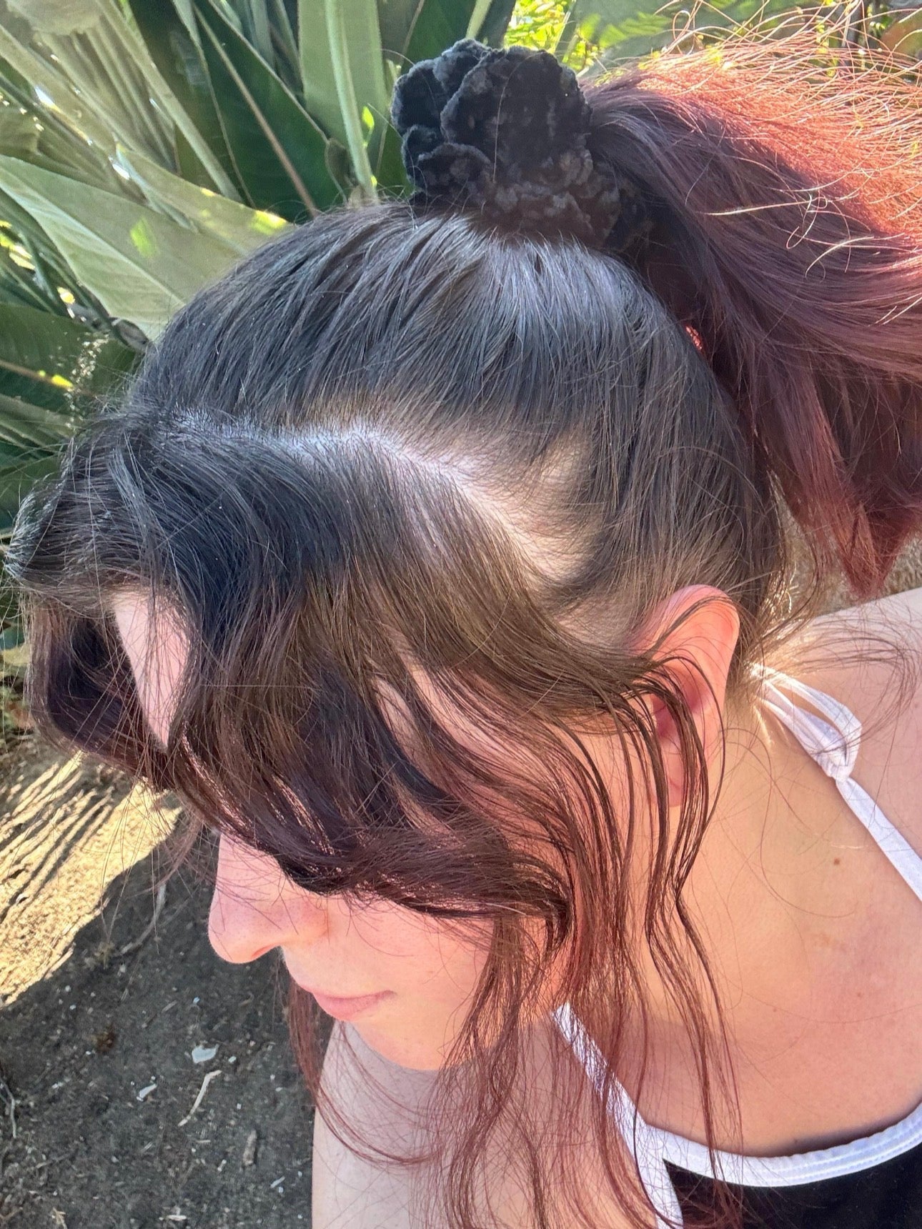 Scrunchies