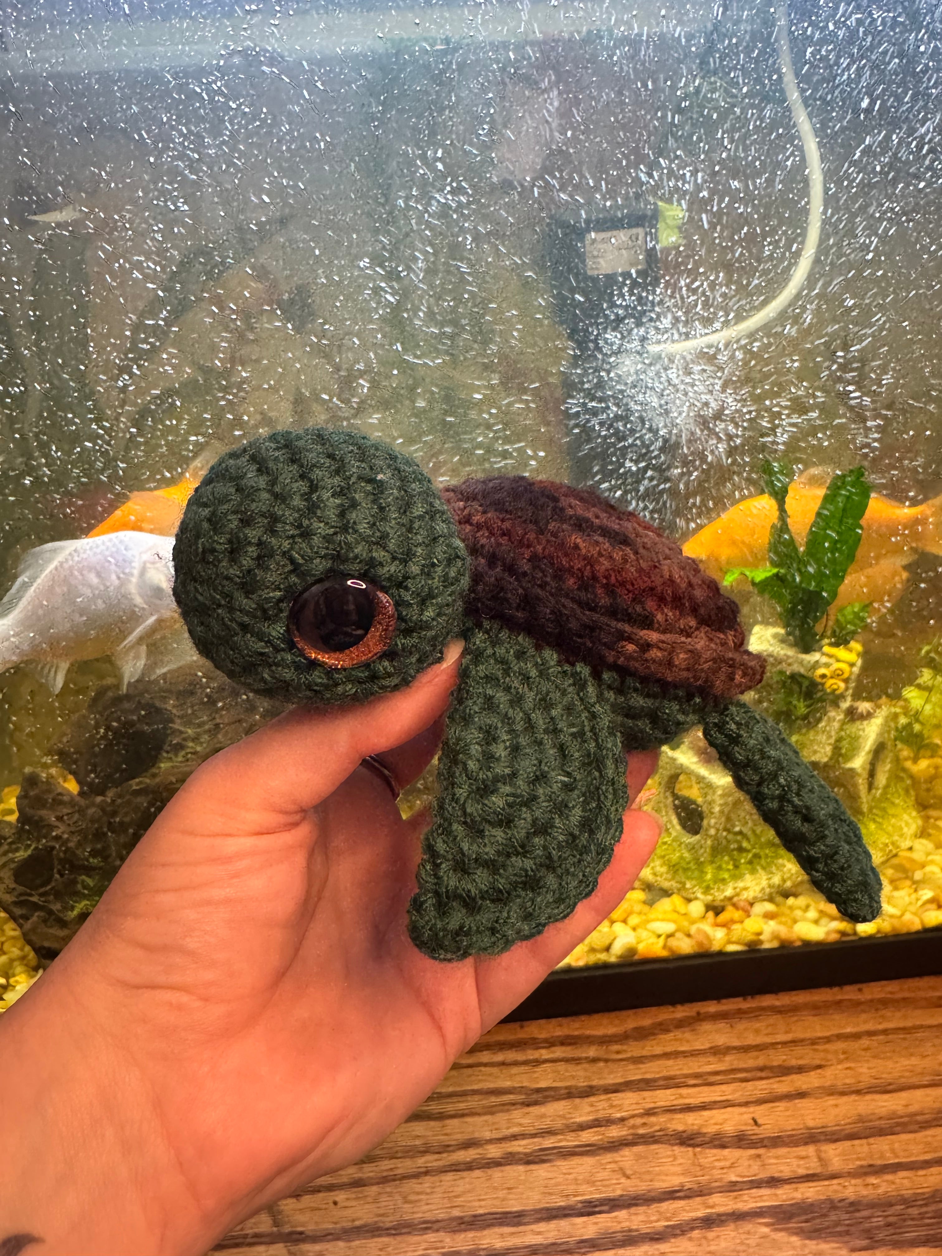 Turtles