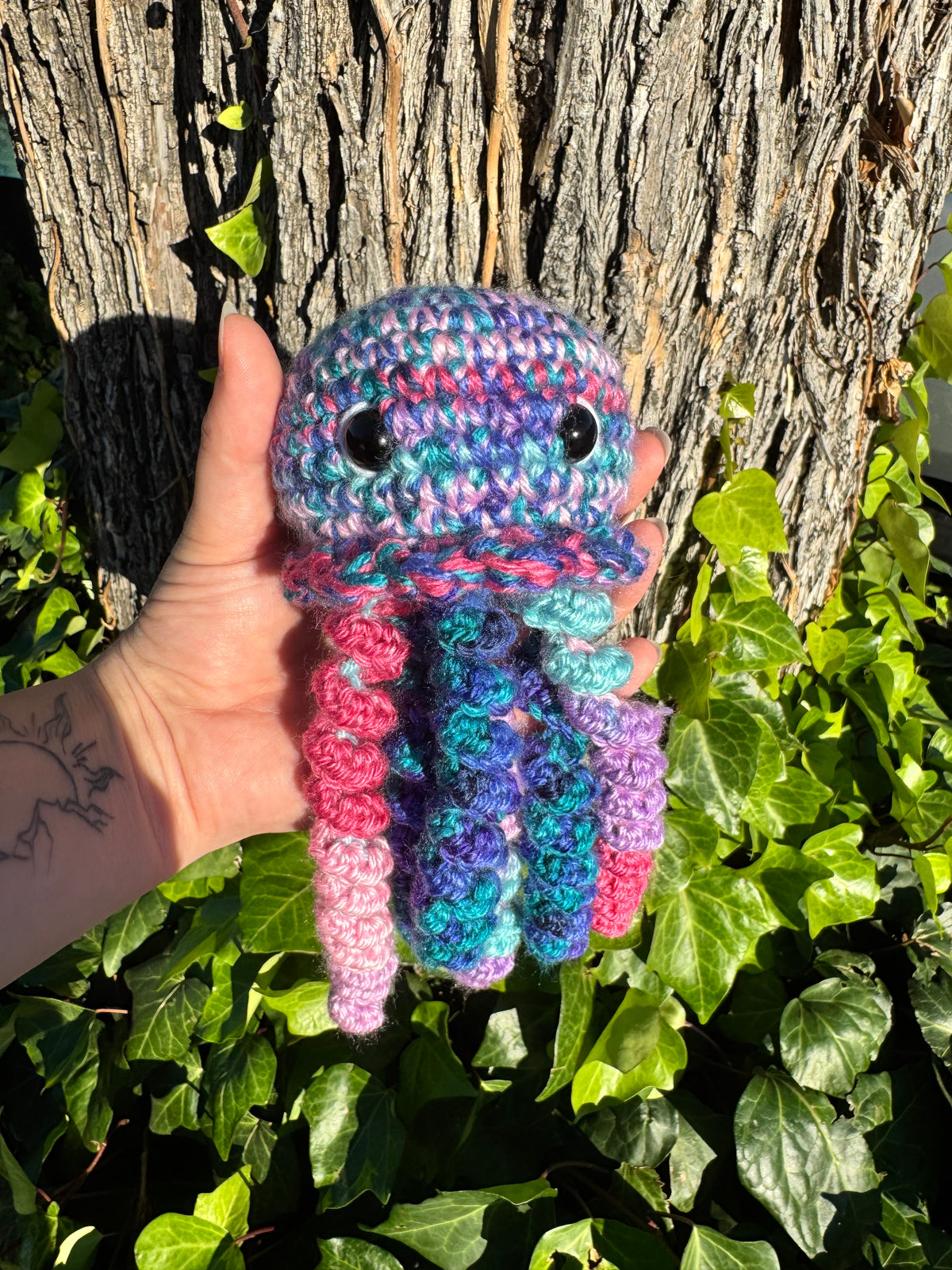 Jellyfish