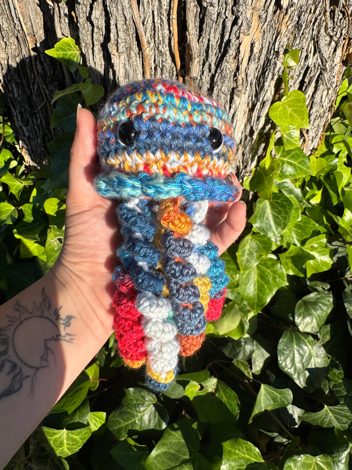 Jellyfish
