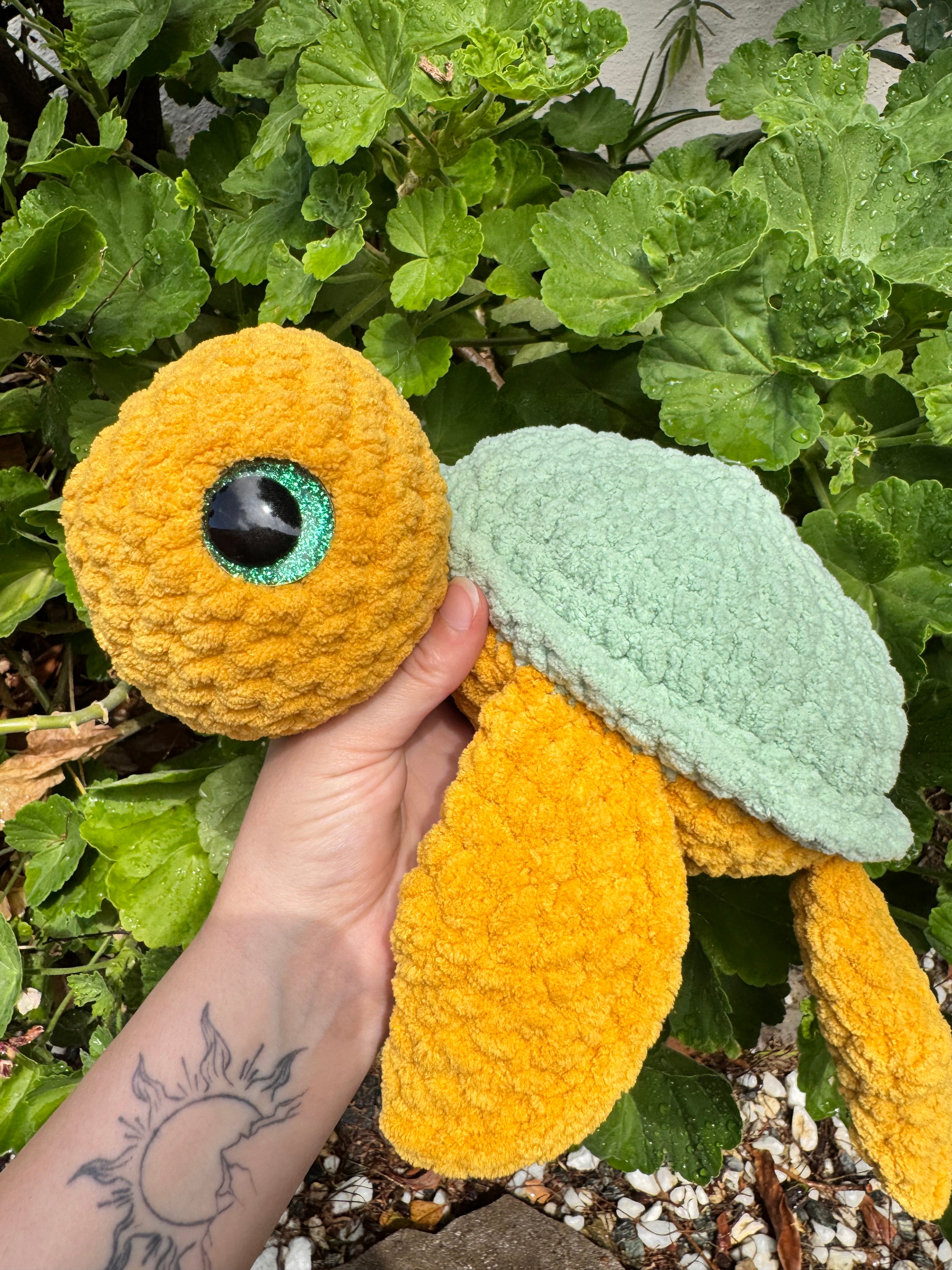 Turtles