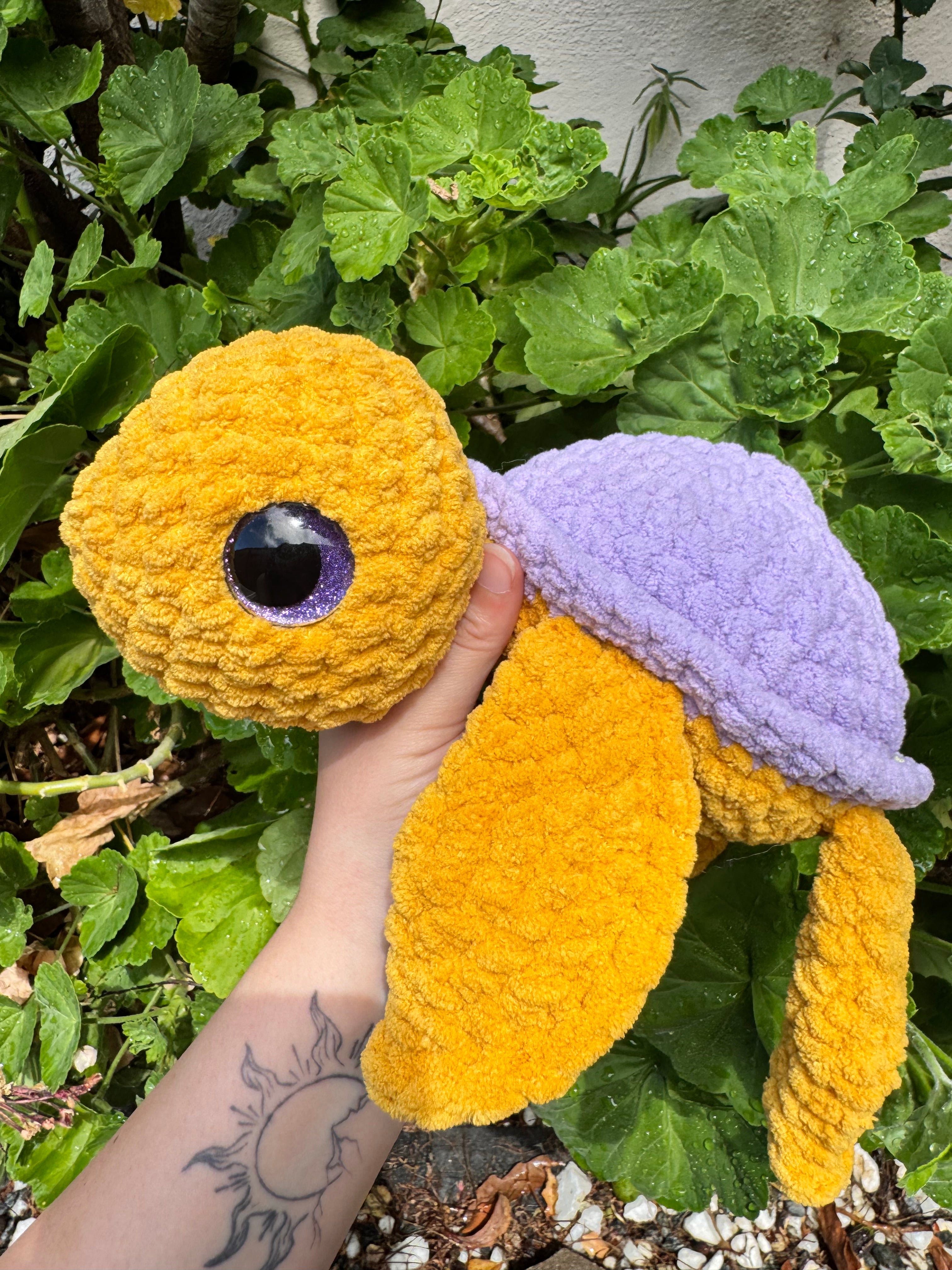 Turtles