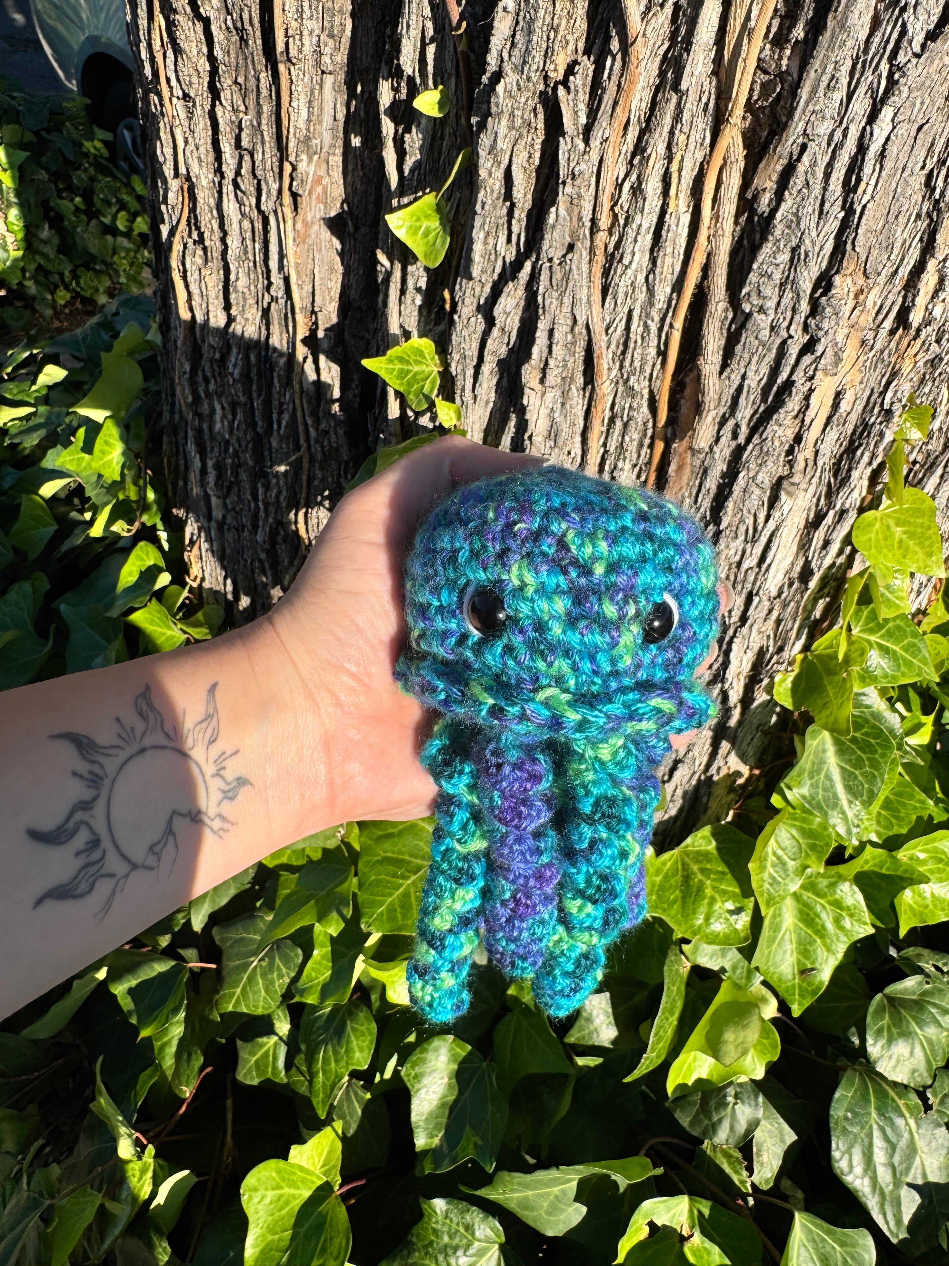 Jellyfish