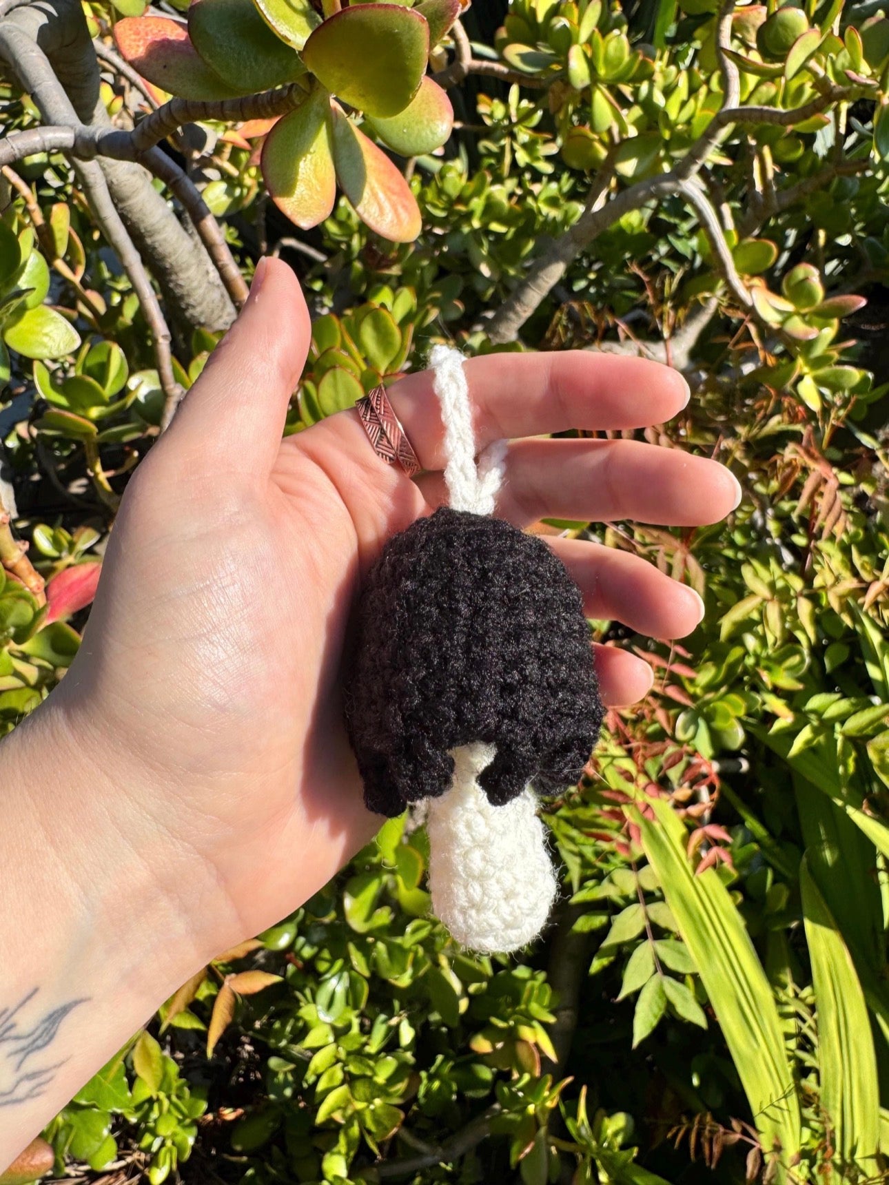 Mushroom Caps - Mix&Match