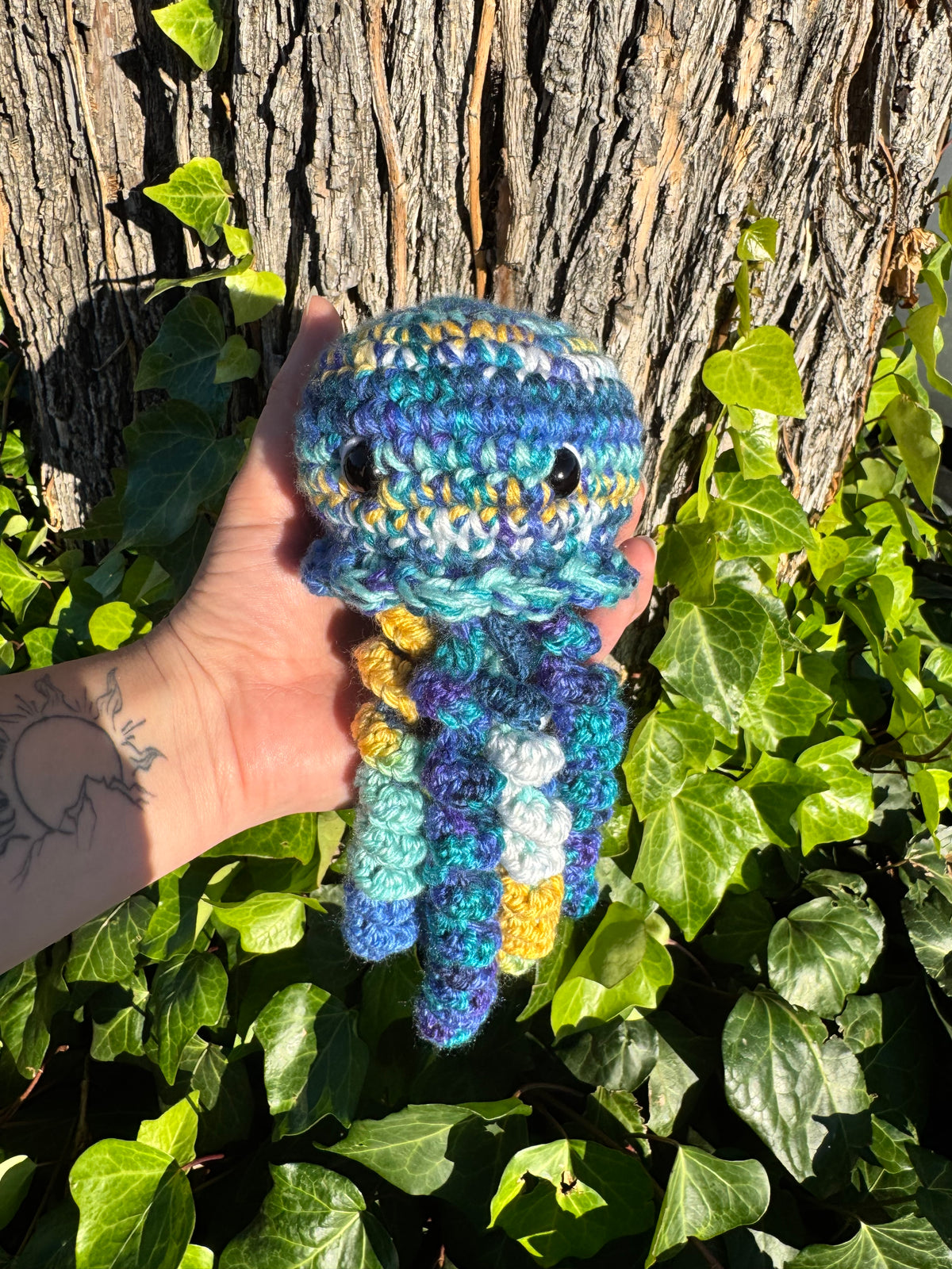 Jellyfish
