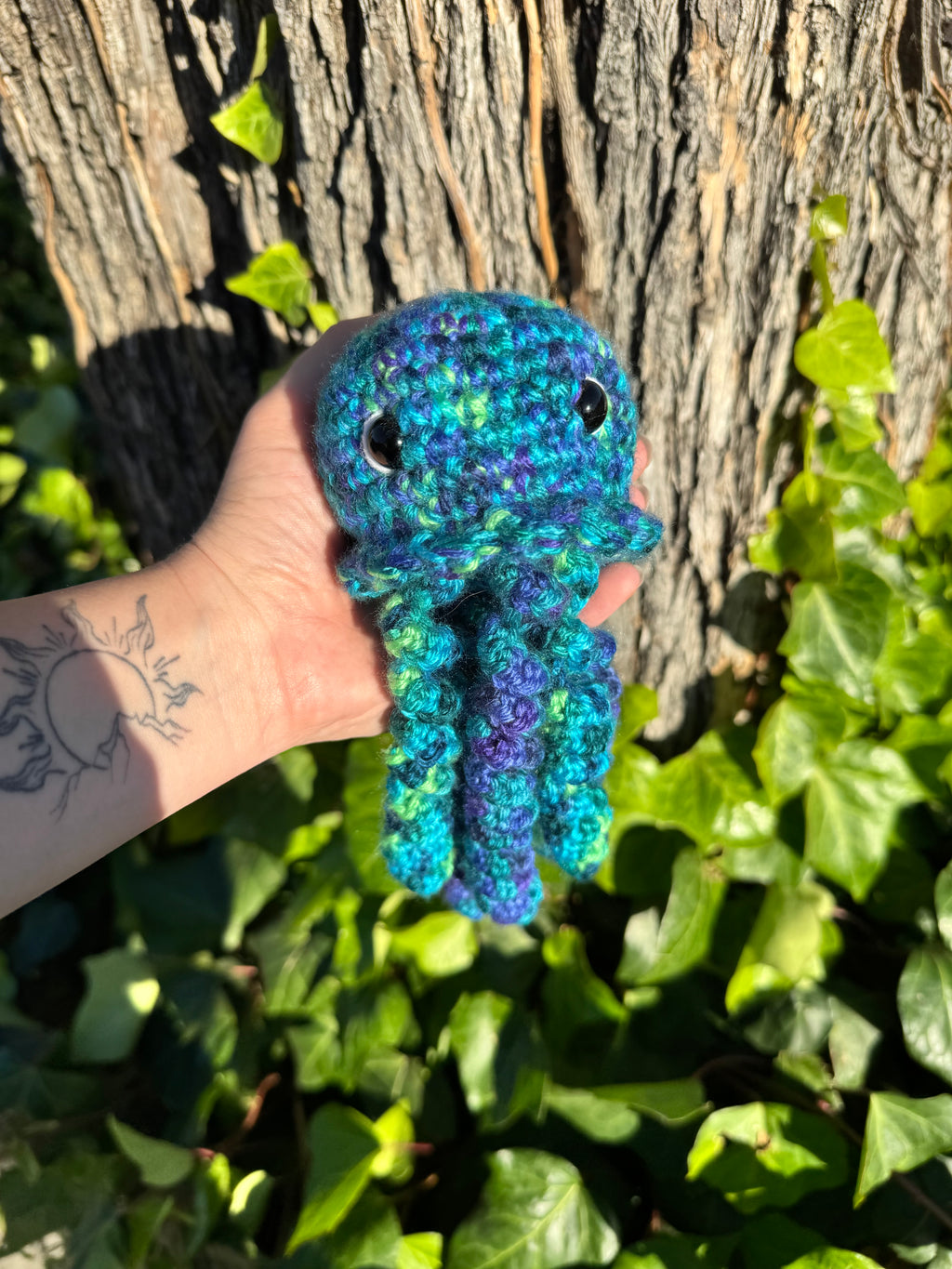 Jellyfish
