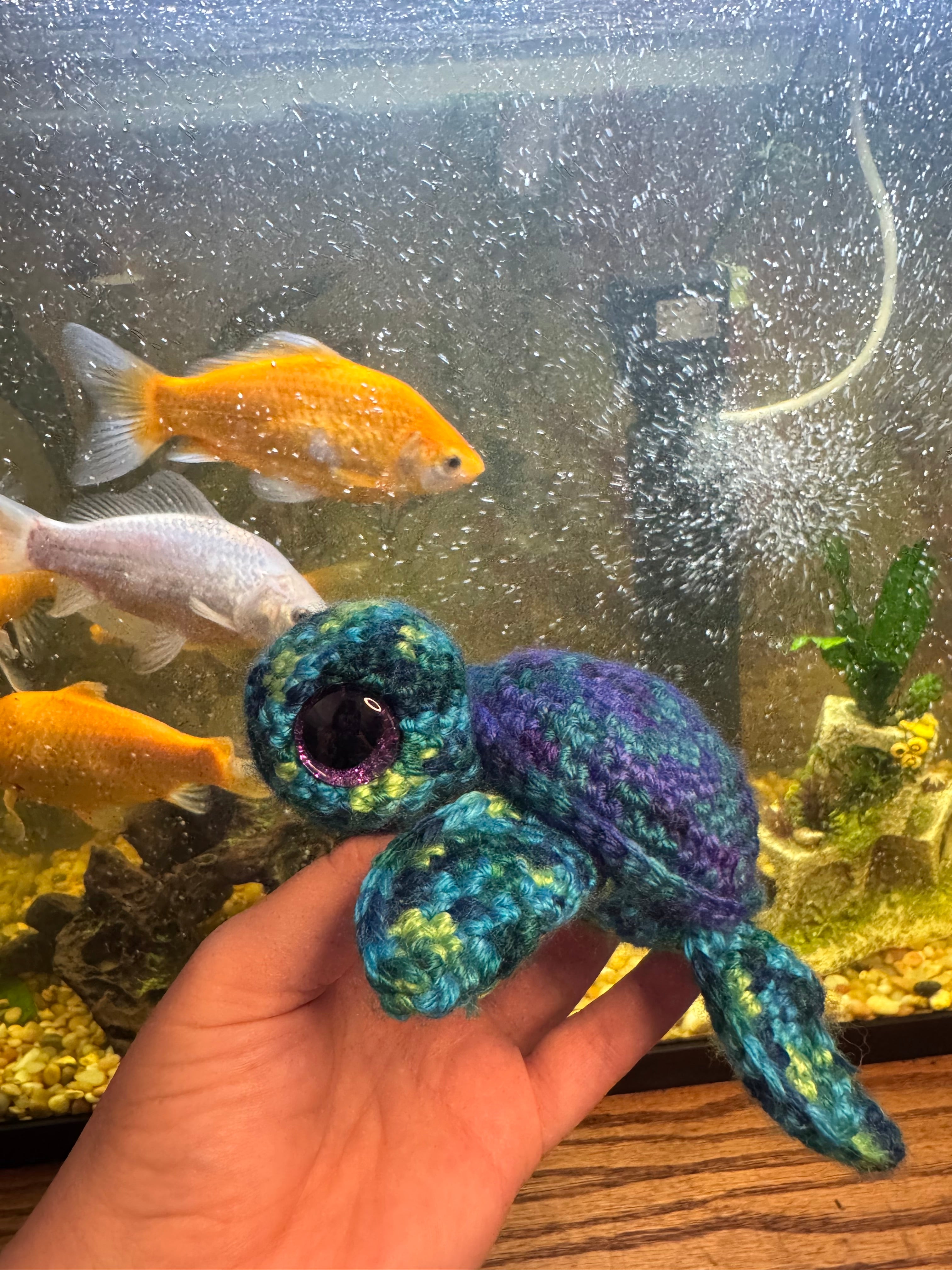 Turtles