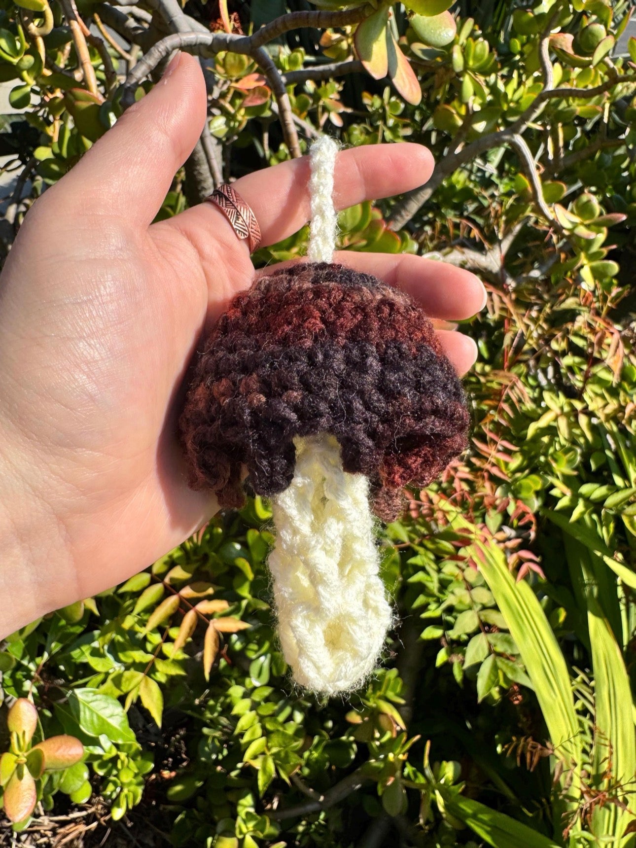 Mushroom Caps - Mix&Match