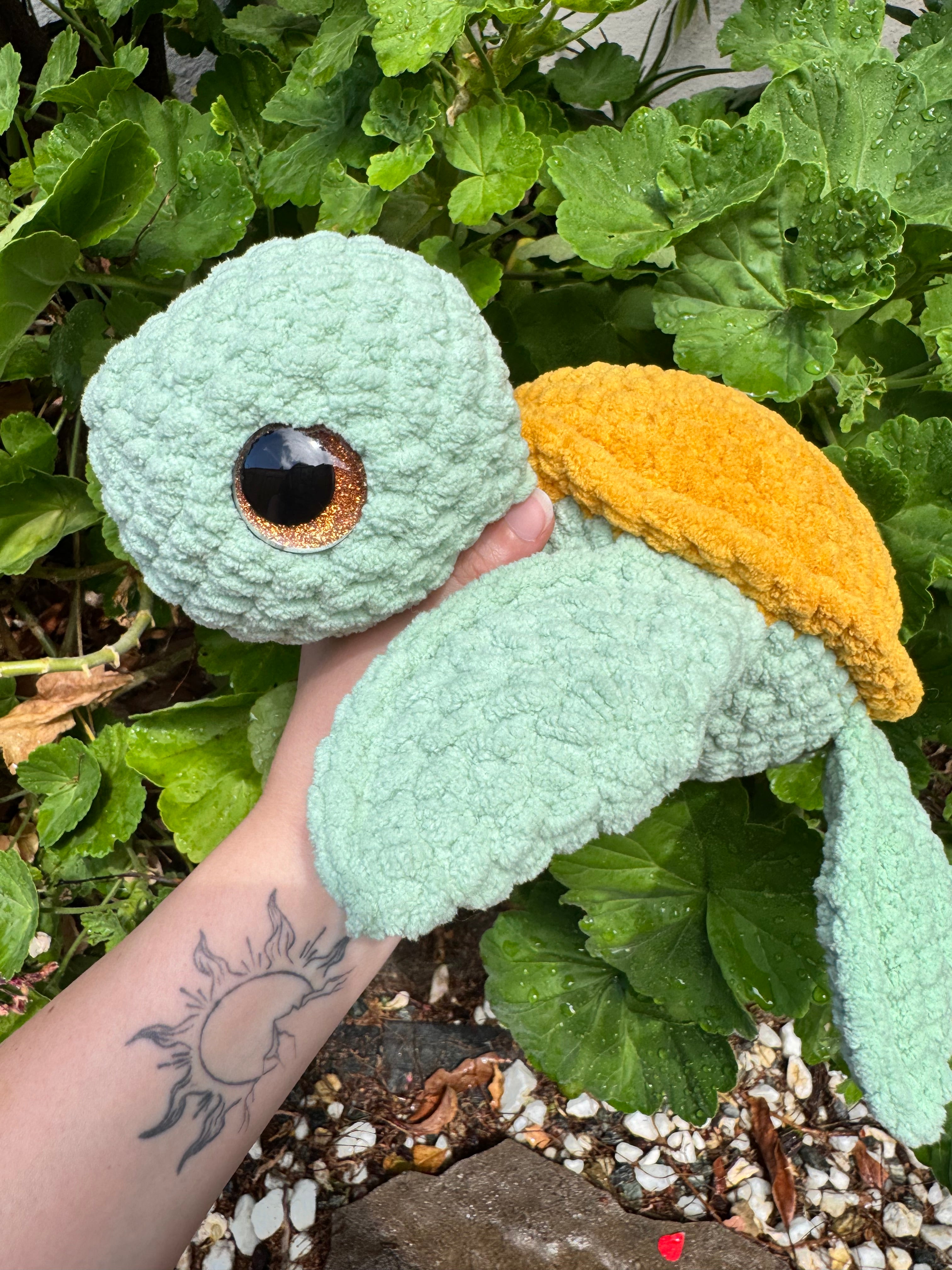 Turtles