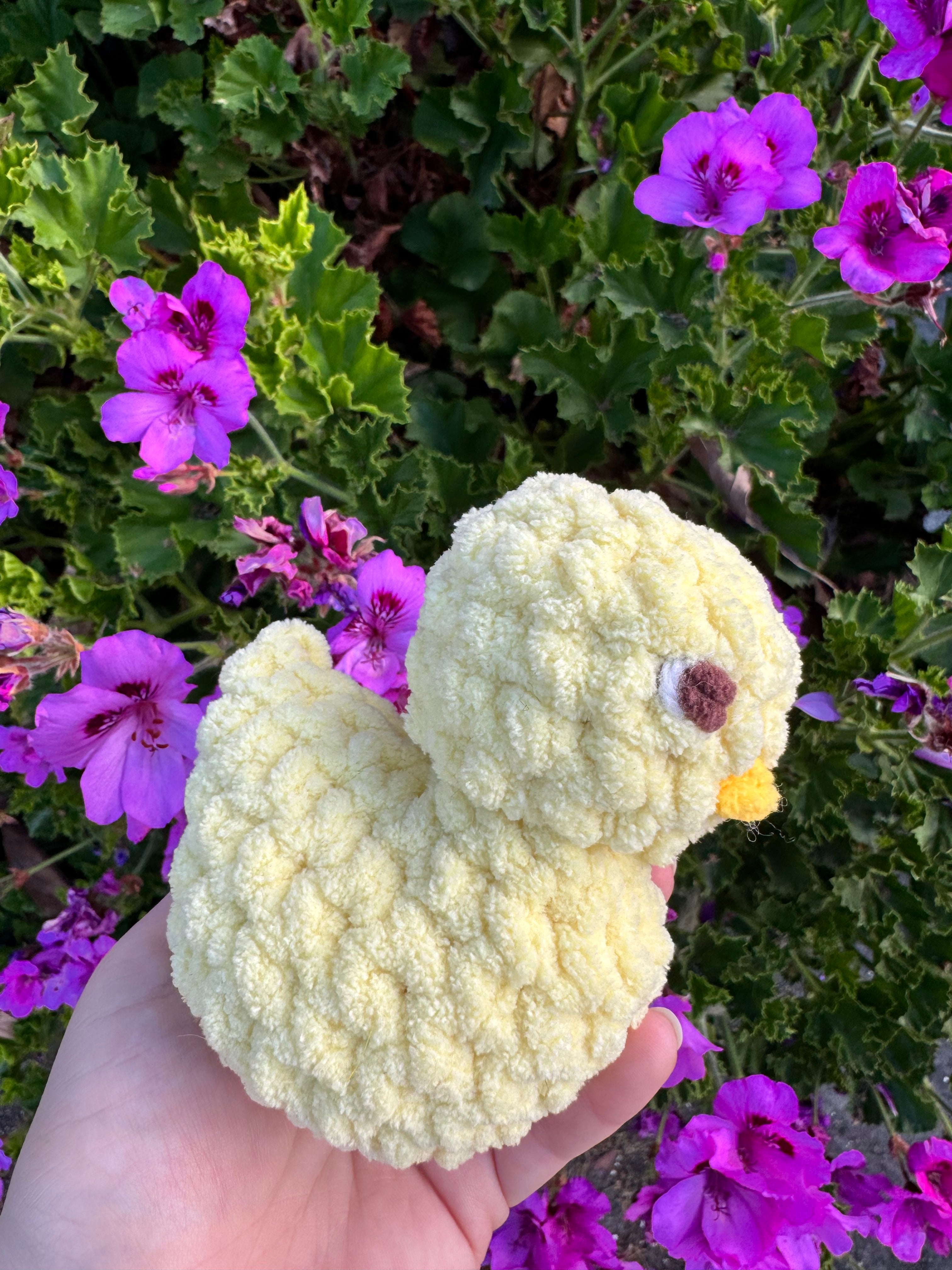 Rubber Ducky